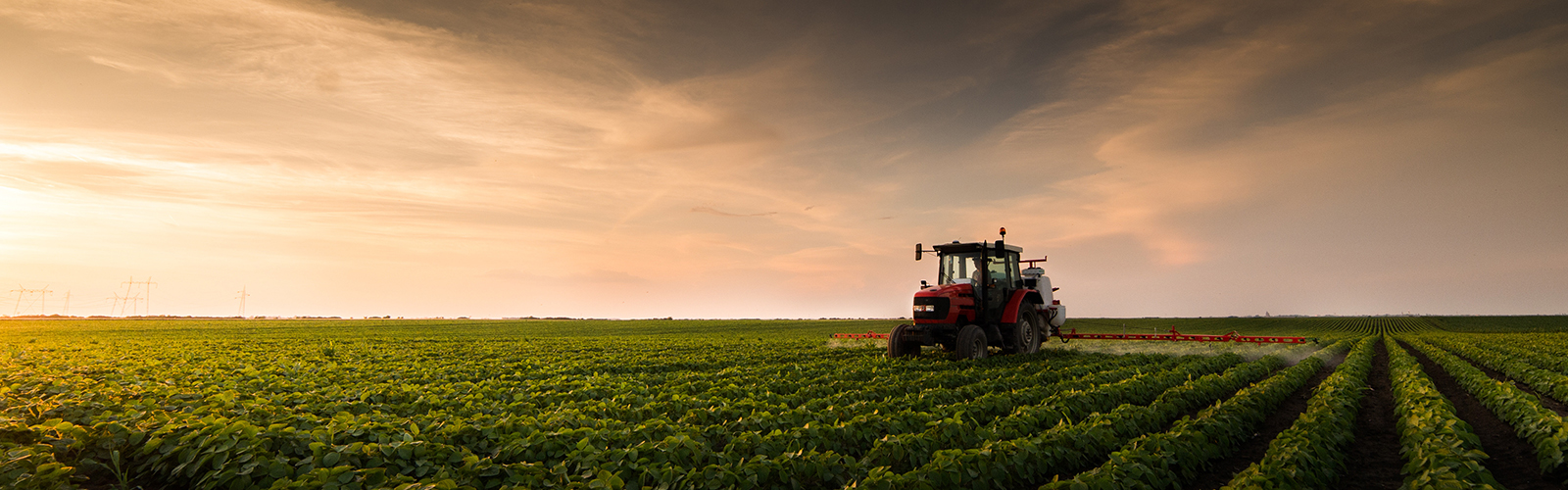 Tractor plowing at sunset. 